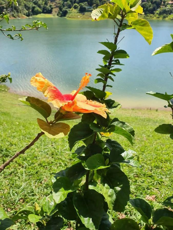 Maravilhoso Sítio Na Beira Da Represa Vila Igaratá Exterior foto